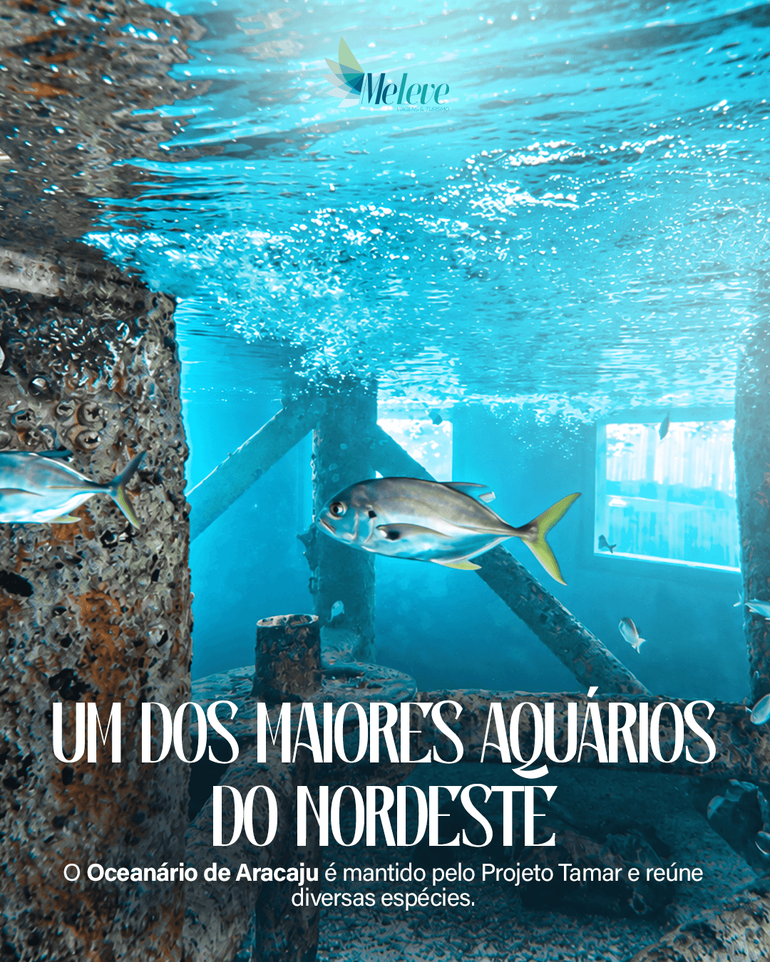 Post sobre Aracaju para MeLeve